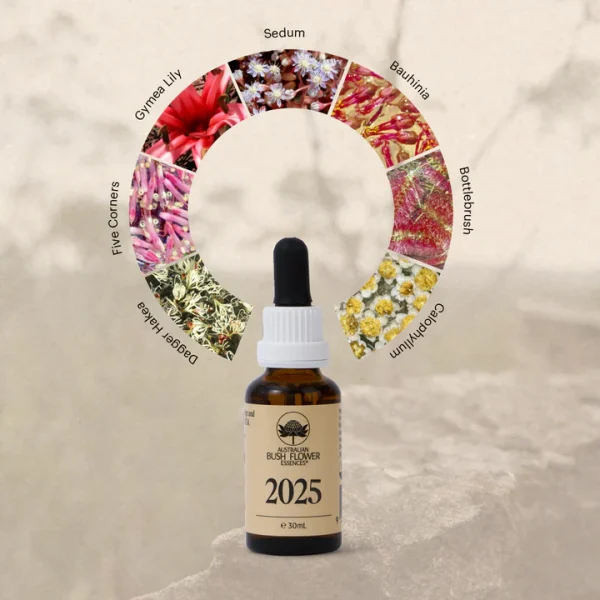 Australian Bush Flower Essences - 2025 Essence Drops 30ml - Image 4